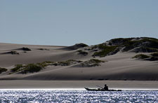 Mexico-Baja-Sea of Cortez Islands & Whale Watching